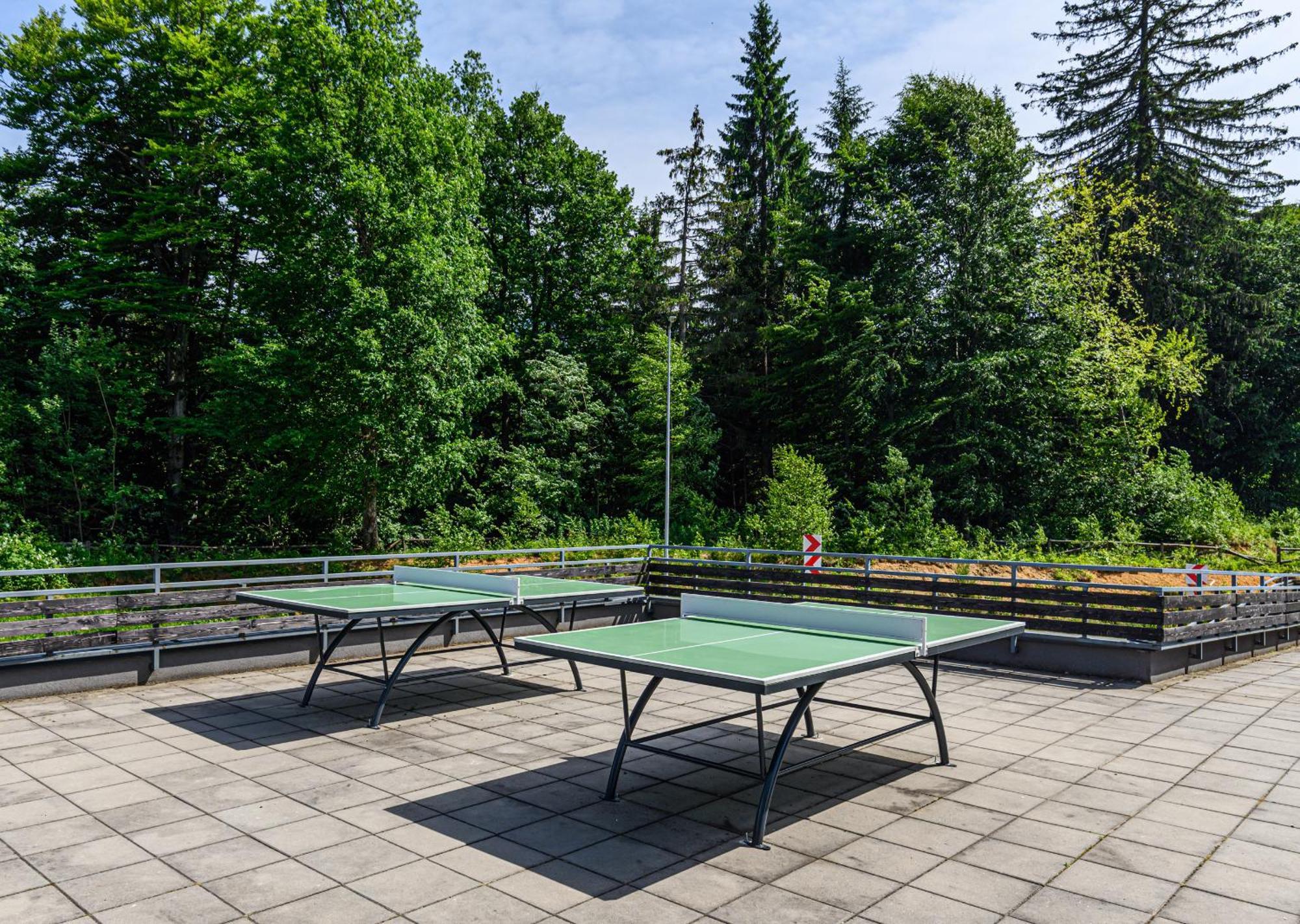 פויאנה ברשוב Apartment "Mountain Relax" מראה חיצוני תמונה